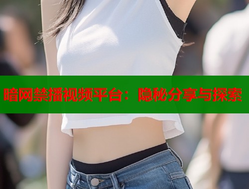 暗网禁播视频平台：隐秘分享与探索