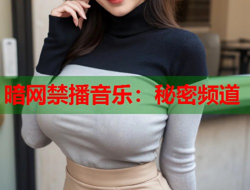 暗网禁播音乐：秘密频道  第2张