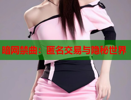 暗网禁曲：匿名交易与隐秘世界  第1张