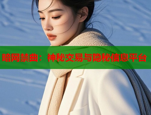 暗网禁曲：神秘交易与隐秘信息平台