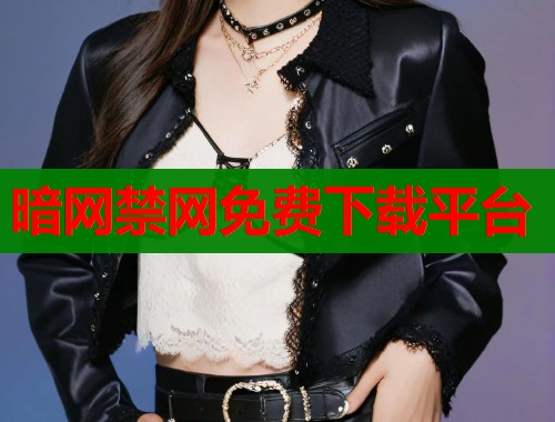 暗网禁网免费下载平台  第2张