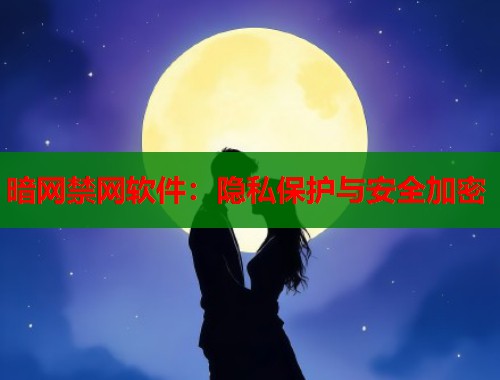 暗网禁网软件：隐私保护与安全加密