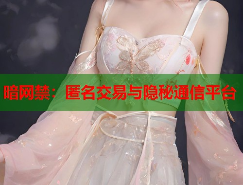 暗网禁：匿名交易与隐秘通信平台  第1张