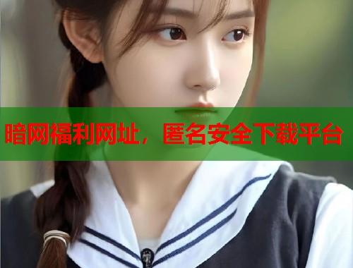 暗网福利网址，匿名安全下载平台  第2张