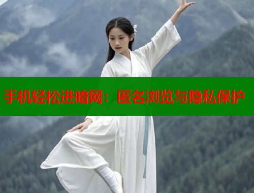 手机轻松进暗网：匿名浏览与隐私保护  第2张