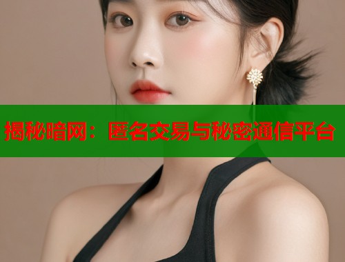 揭秘暗网：匿名交易与秘密通信平台  第2张