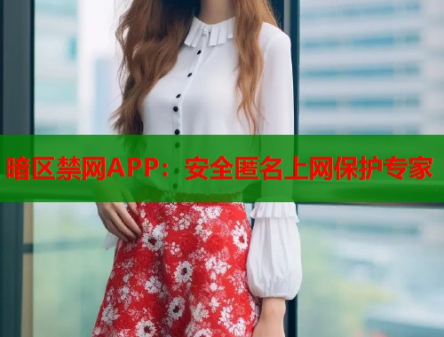 暗区禁网APP：安全匿名上网保护专家  第2张
