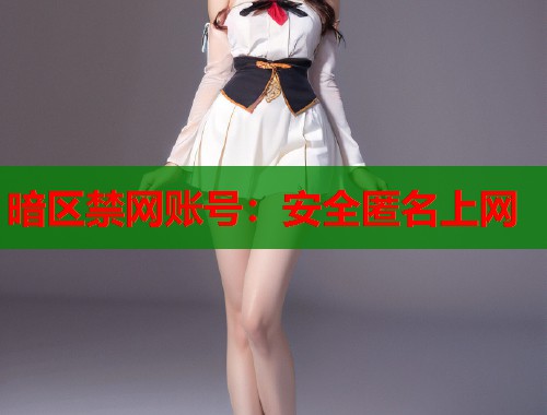 暗区禁网账号：安全匿名上网