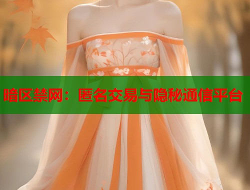 暗区禁网：匿名交易与隐秘通信平台  第2张