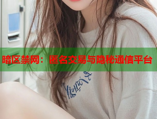 暗区禁网：匿名交易与隐秘通信平台