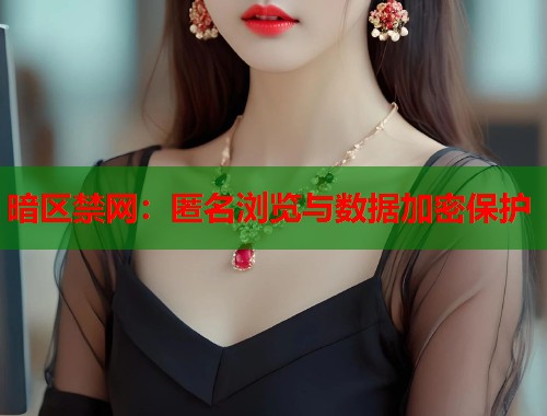 暗区禁网：匿名浏览与数据加密保护