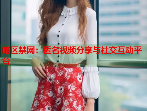 暗区禁网：匿名视频分享与社交互动平台