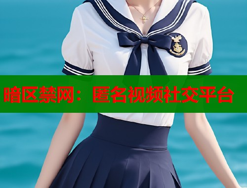 暗区禁网：匿名视频社交平台