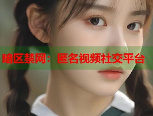 暗区禁网：匿名视频社交平台  第2张