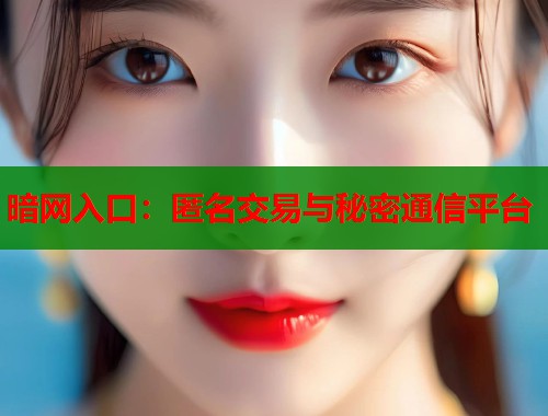 暗网入口：匿名交易与秘密通信平台