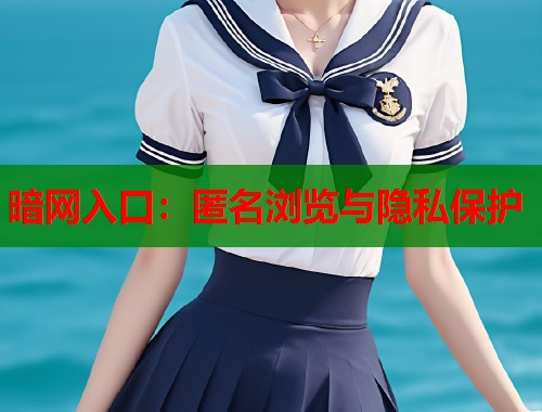 暗网入口：匿名浏览与隐私保护  第1张