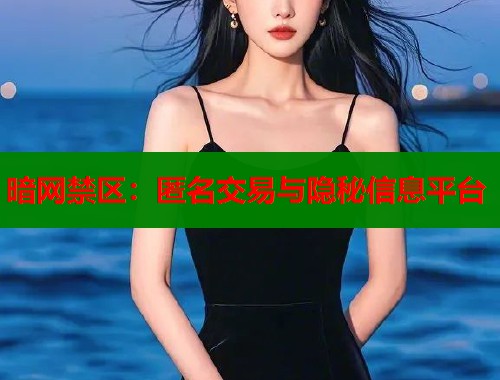 暗网禁区：匿名交易与隐秘信息平台