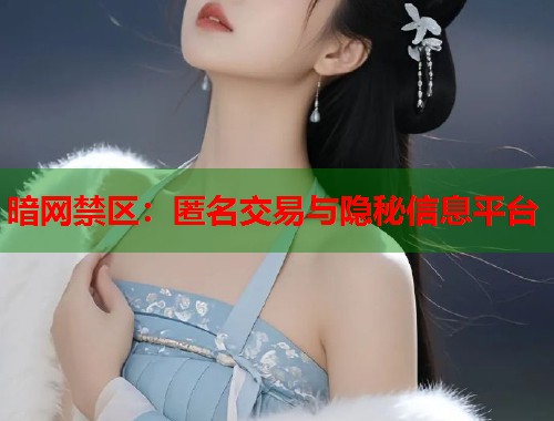 暗网禁区：匿名交易与隐秘信息平台  第2张