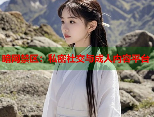 暗网禁区：私密社交与成人内容平台  第1张