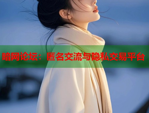 暗网论坛：匿名交流与隐私交易平台  第2张