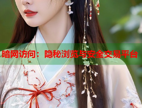 暗网访问：隐秘浏览与安全交易平台