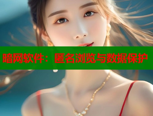 暗网软件：匿名浏览与数据保护  第2张