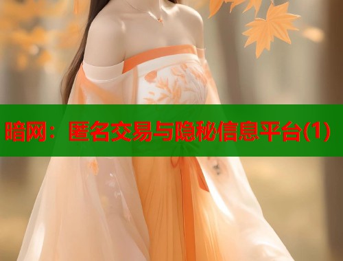 暗网：匿名交易与隐秘信息平台(1)