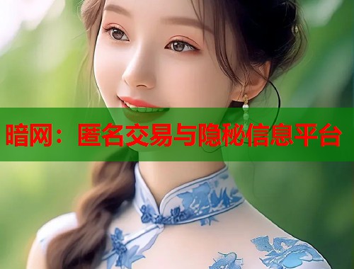 暗网：匿名交易与隐秘信息平台
