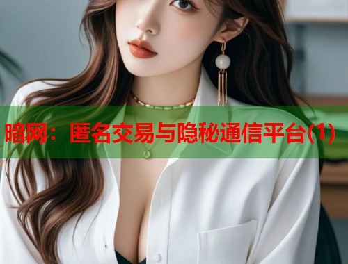 暗网：匿名交易与隐秘通信平台(1)  第1张