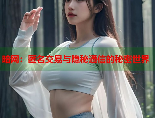 暗网：匿名交易与隐秘通信的秘密世界  第2张