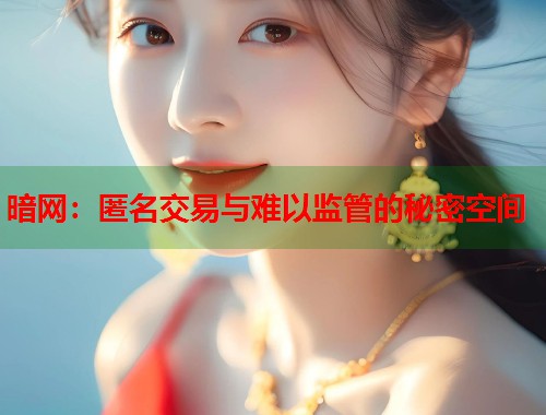 暗网：匿名交易与难以监管的秘密空间