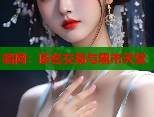 暗网：匿名交易与黑市天堂  第2张