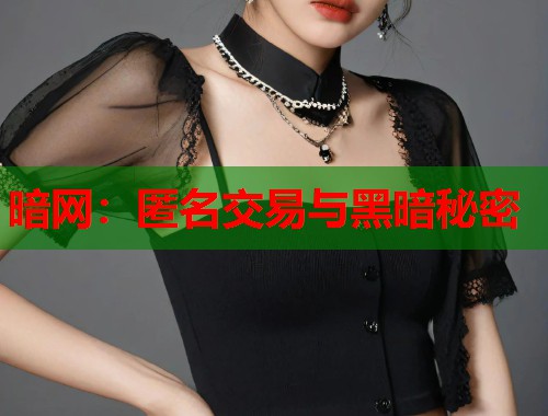 暗网：匿名交易与黑暗秘密  第2张