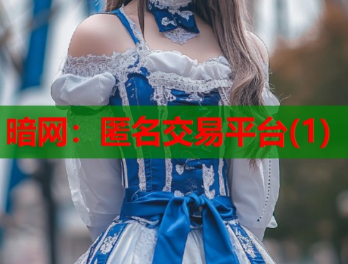 暗网：匿名交易平台(1)  第2张