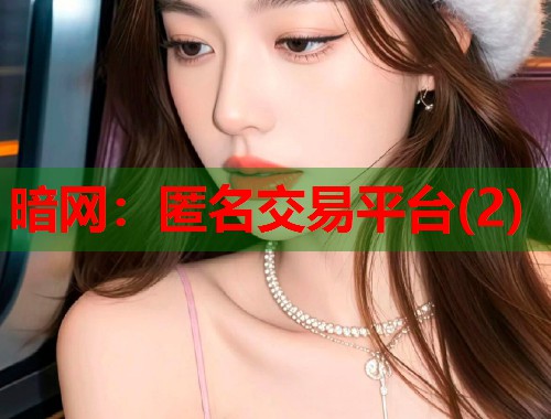 暗网：匿名交易平台(2)  第2张