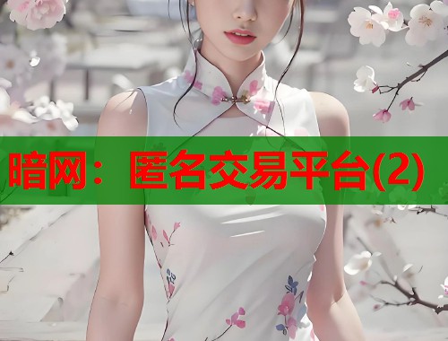 暗网：匿名交易平台(2)