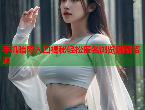 手机暗网入口揭秘轻松匿名浏览隐藏资源
