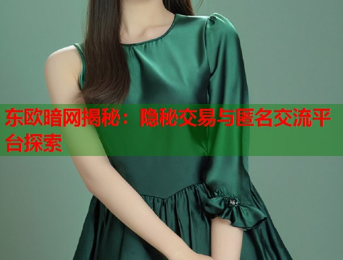 东欧暗网揭秘：隐秘交易与匿名交流平台探索