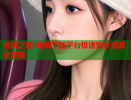 丝绸之路4暗网下载平台极速安全资源全掌握
