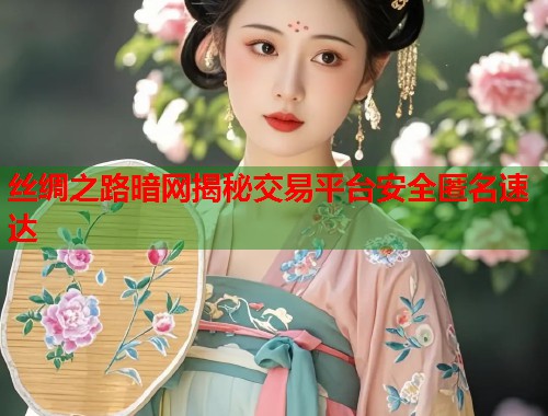 丝绸之路暗网揭秘交易平台安全匿名速达  第2张