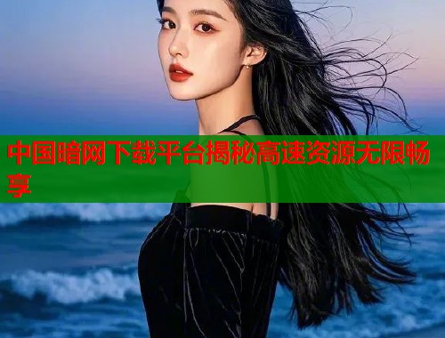 中国暗网下载平台揭秘高速资源无限畅享