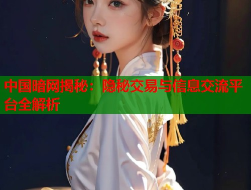 中国暗网揭秘：隐秘交易与信息交流平台全解析
