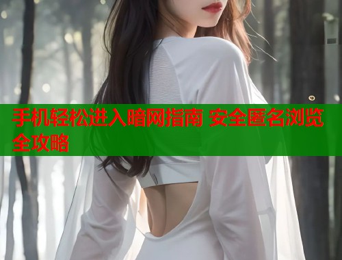 手机轻松进入暗网指南 安全匿名浏览全攻略