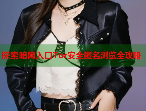 探索暗网入口Tor安全匿名浏览全攻略