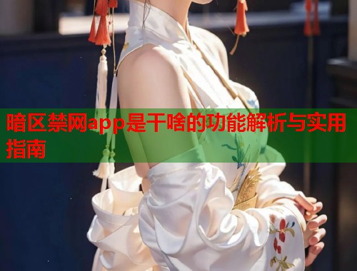 暗区禁网app是干啥的功能解析与实用指南