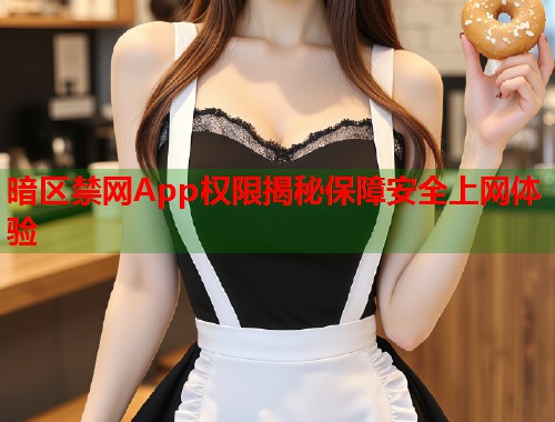 暗区禁网App权限揭秘保障安全上网体验