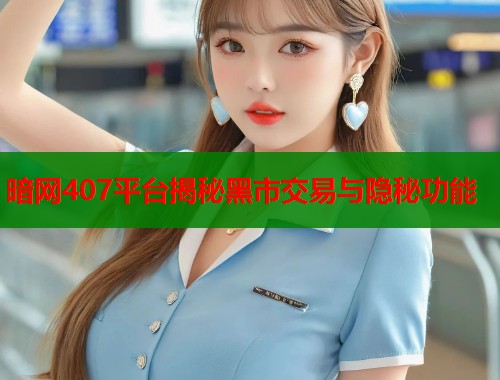 暗网407平台揭秘黑市交易与隐秘功能