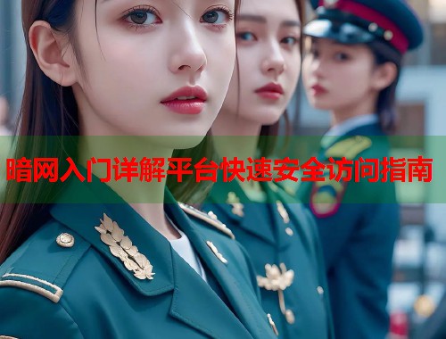 暗网入门详解平台快速安全访问指南
