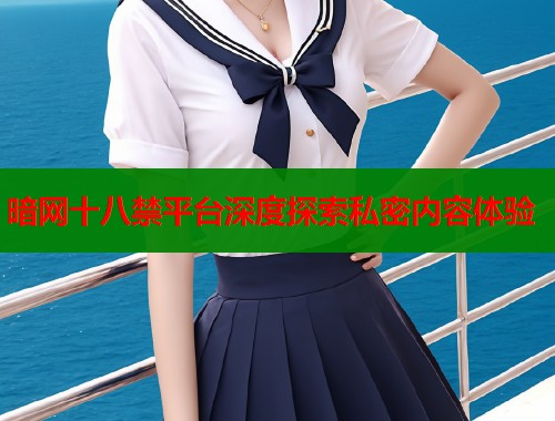 暗网十八禁平台深度探索私密内容体验