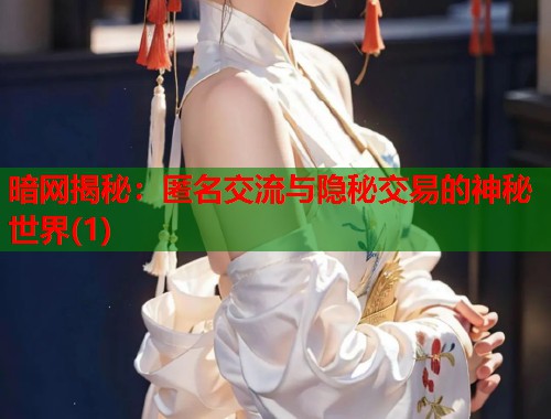 暗网揭秘：匿名交流与隐秘交易的神秘世界(1)  第2张